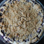 Blueberry Custard Pie