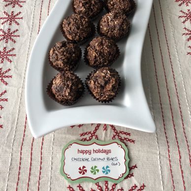 Chocolate Coconut Bites