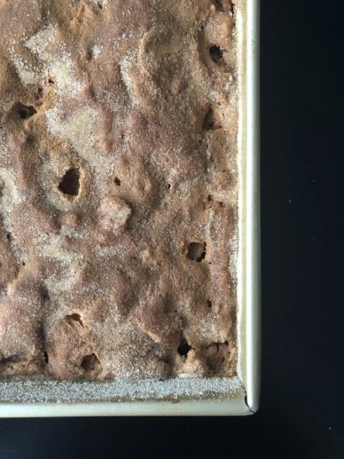 Cinnamon Sugar Apple Cake