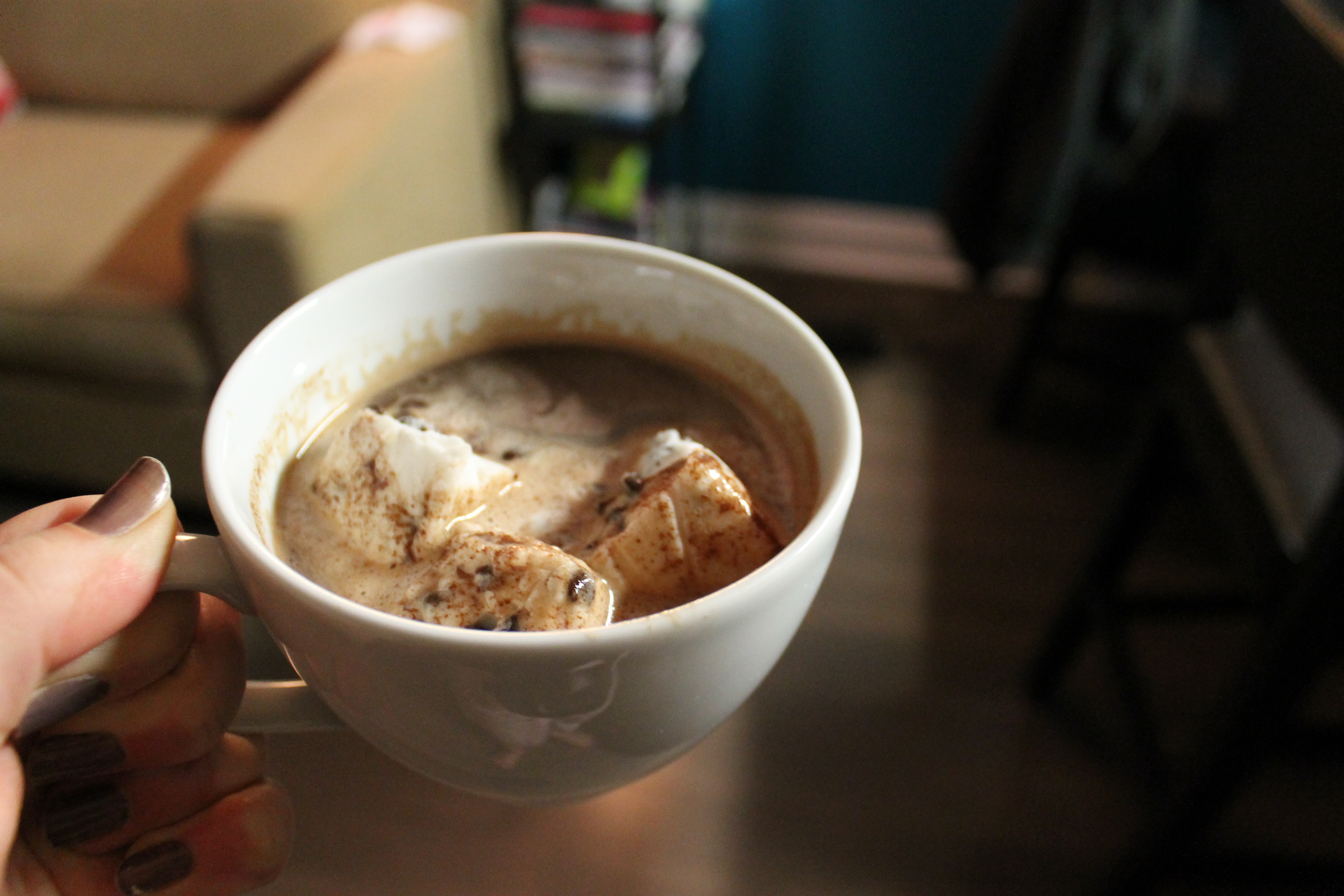 The Perfect Cup of Hot Chocolate